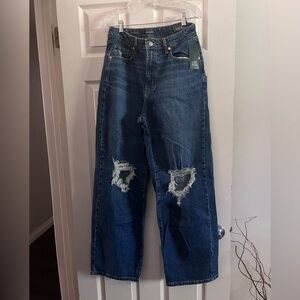 Wild Fable High Rise Distressed Denim Jeans